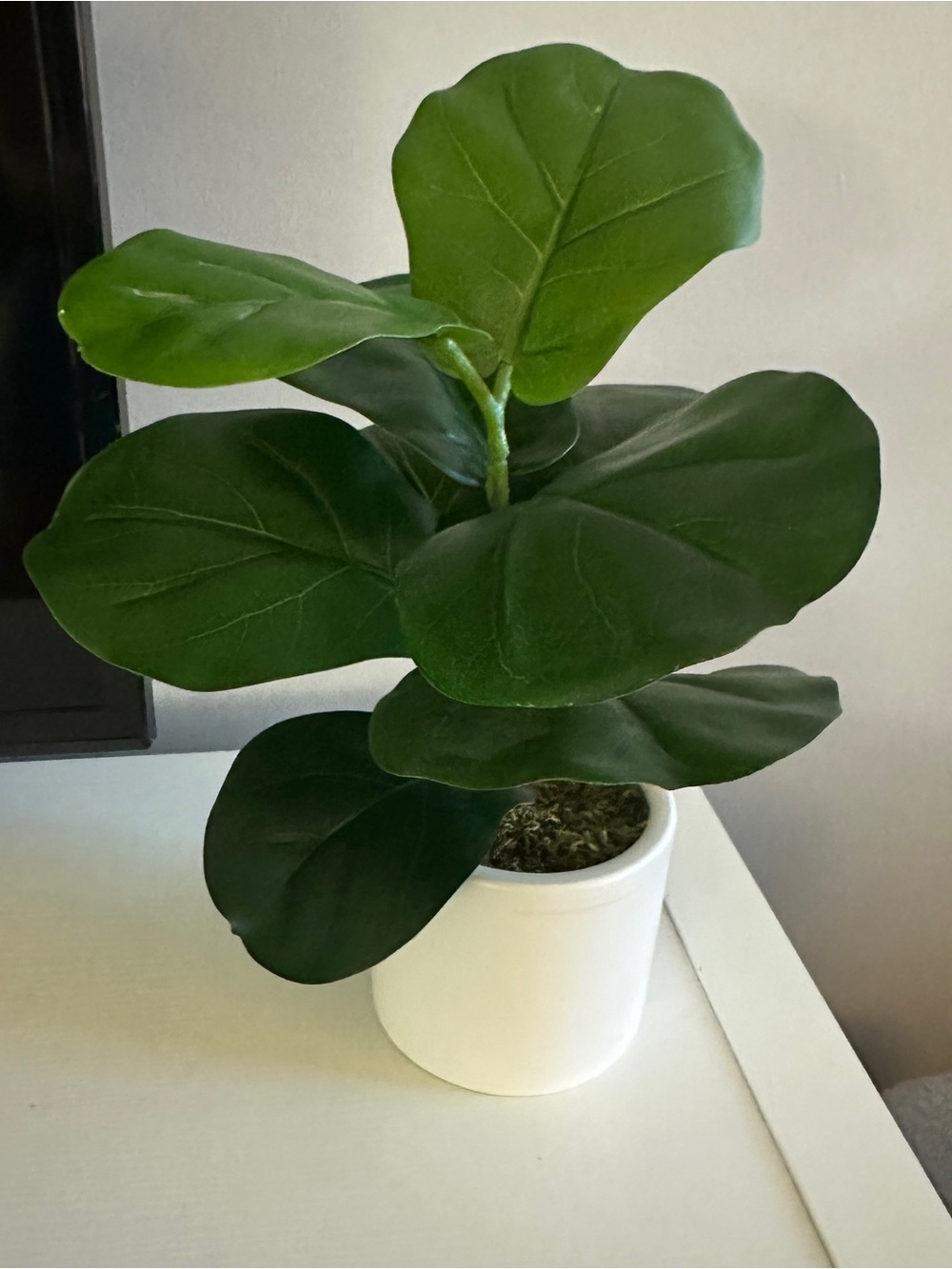 Faux Houseplant